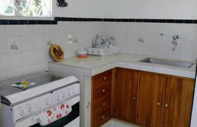 Oceanview Villa Walk to the beach - Photo 11