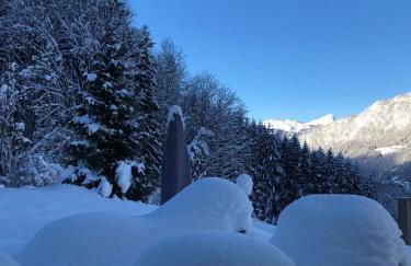 Chalet la Cabane d'Ernestine, petit-déjeuner inclus - Foto 48