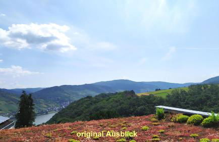 Schau-Rhein#2 - on Top of Bacharach, Rhineview - Photo 1