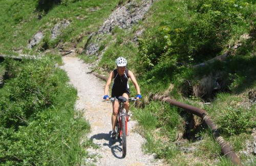 Streidlhof - Foto 39