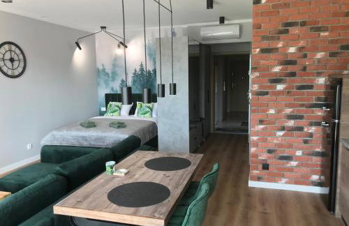 Marina Green Loft-Apartament przy promenadzie - Foto 12