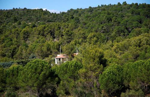 La petite Cigale - Foto 30