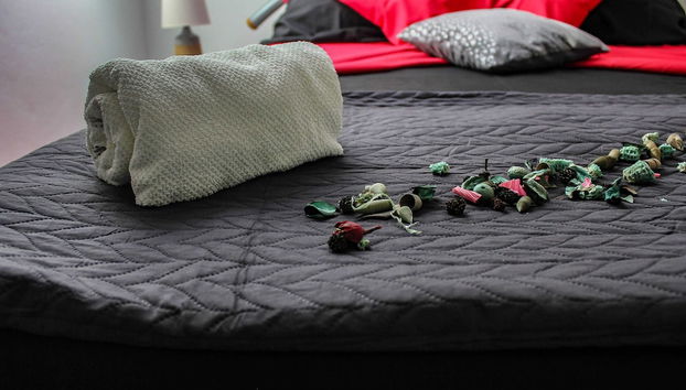 Apartment Alex - Foto 3, Habitación