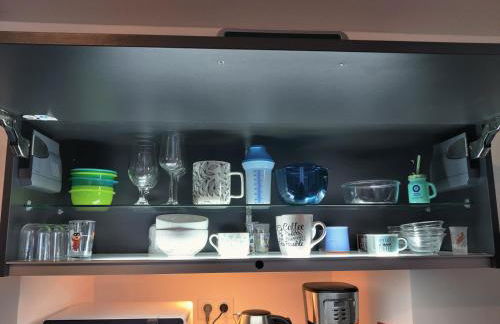 Appartement T2 "JUNGLE" Centre Ville de VITRÉ au calme coté cour - Foto 19