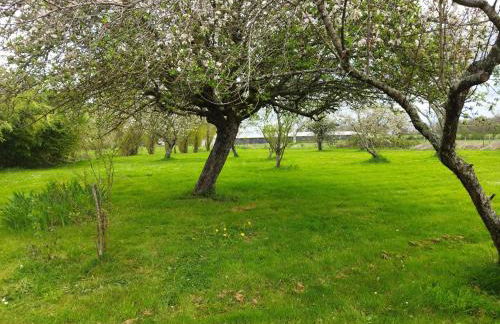 Gîte au calme avec verger, à proximité de randonnées et sites culturels - FR-1-586-9 - Foto 11