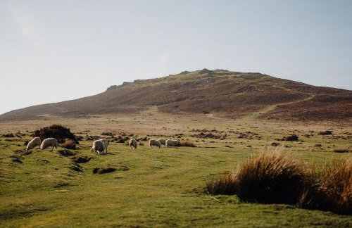 Plas Drygarn Ty Coch Crymych - Foto 24