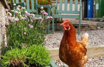 Grey Goose Cottage - Foto 19