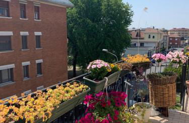 Casa Biancola, Novara Centro - Foto 1