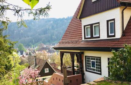 Familienglück im Schwarzwaldhaus mit Schlossblick - Foto 76