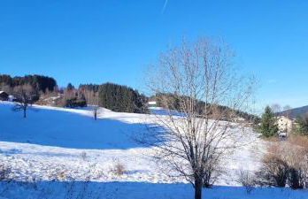 Le Petit Sapin - Foto 30