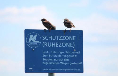 Ferienhaus Nordstrand Whg 3 - Foto 30