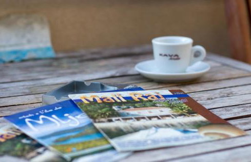 Pansion Mali Raj - Photo 48