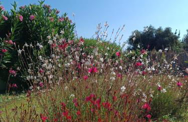 Alonia Summerhouse in Fanes - Foto 28