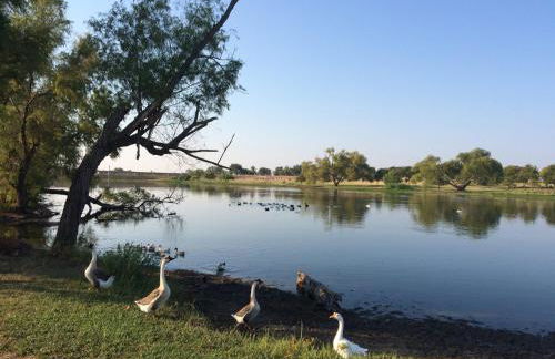 High End Design Home with Pool & Hot Tub Gameroom - Foto 118