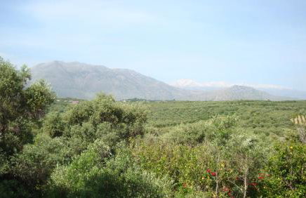 Calamon Apartments - Foto 39