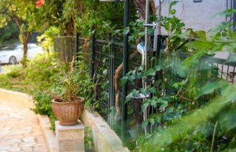 Dorotea Luxury Rooms - Foto 41