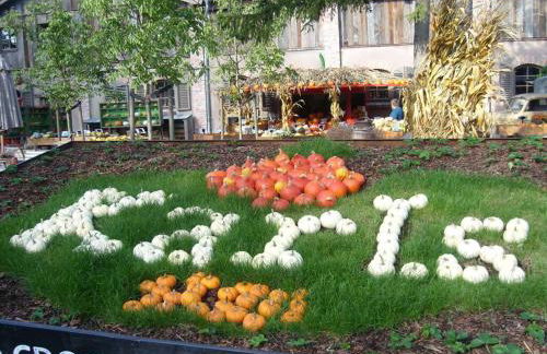 Holiday Apartment Grohnert - Foto 27