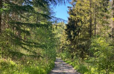 Siedlisko Wytowno - Foto 36