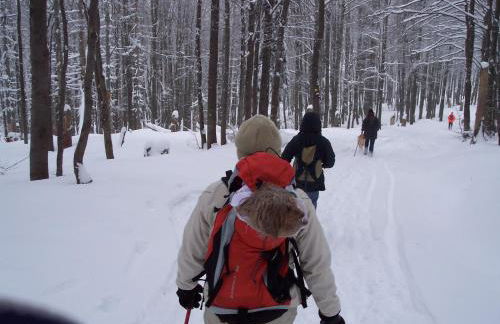 Schönblick 36 - Foto 7