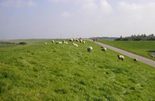 NEU! Ferienwohnung Schäfer Nähe Carolinensiel - Foto 3