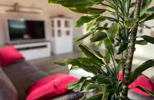 Ferienwohnung an der Ems 75100 - Foto 44