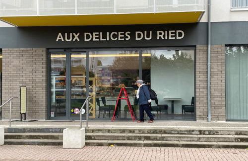 Cosy apartment on Strasbourg tramway line - Foto 39