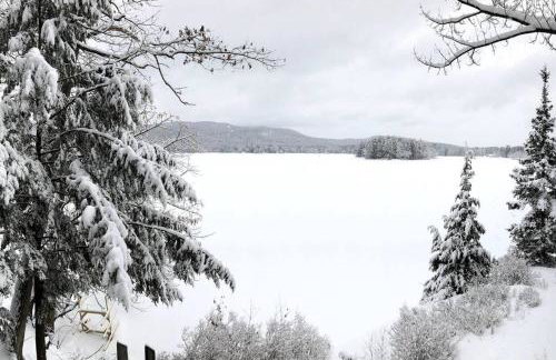 Little Red Wing 50s Lake Cabin - Foto 15