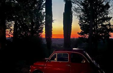 LA COLLINA DEI SAPORI Montepulciano - Photo 32