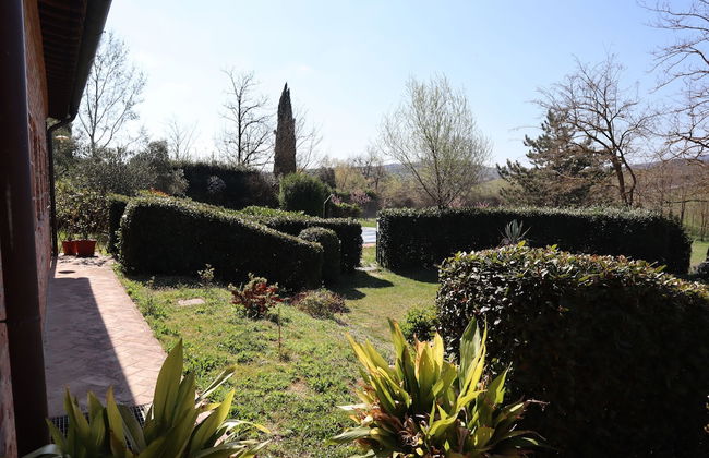 Fattoria Sant'Andrea - Photo 19