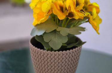 Is candelaus - Foto 36