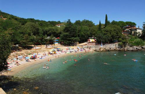 Apartman Halugica - Photo 19