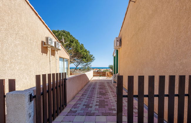 Petite Cigale - Foto 22