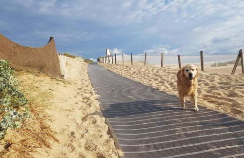 Le cocon de la plage du Santocha - Foto 17