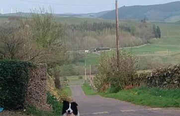 Boreland Farm - Photo 23