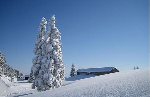 Veiter-Hof - Foto 65