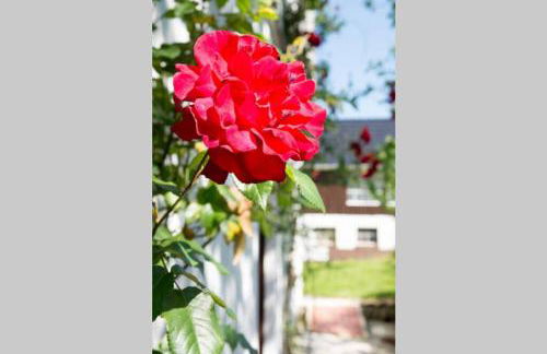 Hoffmanns-Hof-Sinspert - Foto 57