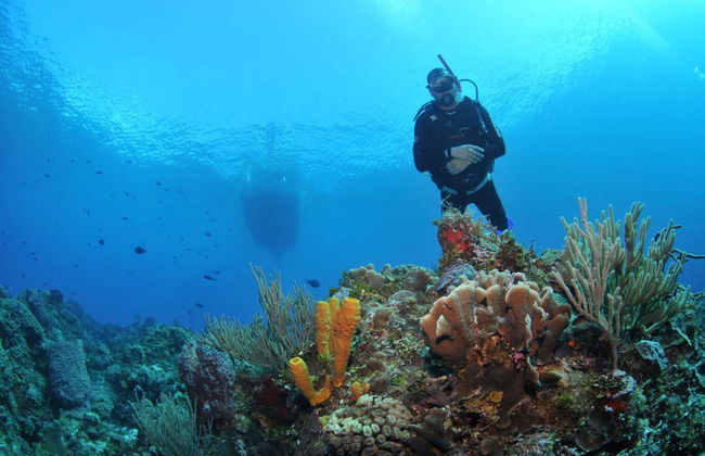 Bautismo de buceo en Búzios - Foto 2