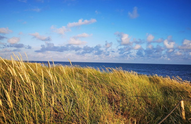 4 Star Holiday Home in Blavand - Foto 31