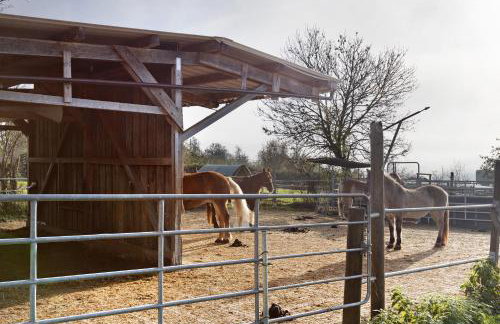 Bachbubenhof - Foto 10