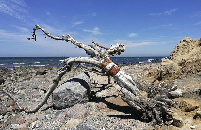 Ferienhaus Klint in Lancken - Foto 25