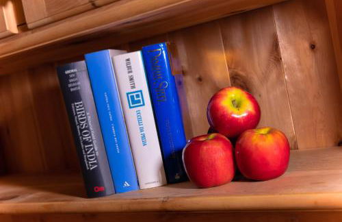 Residence Barbara - Foto 49