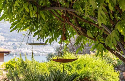 IseoLakeRental - La Colombaia - Foto 26