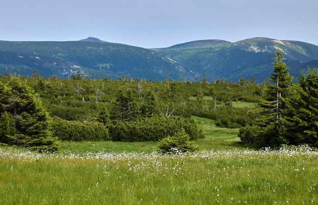 Horní Mísečky - Foto 52