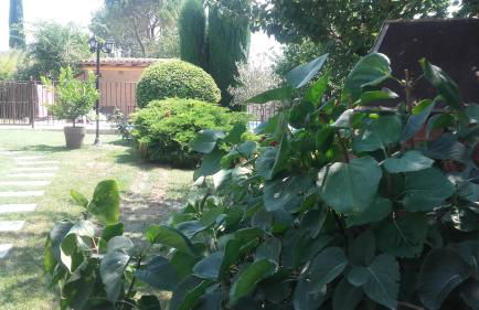 Gite l'Annexe - Foto 36