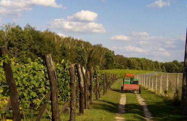 Dom Wakacyjny Quattro Niesulice - Foto 51