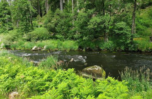 Haus Bergblick - Foto 59