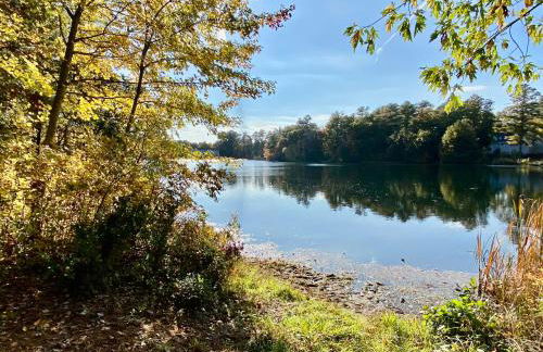 Clear Pond Suite - Photo 29