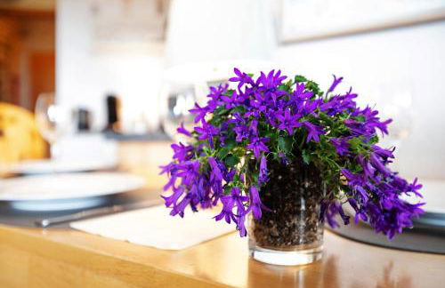 Klaar Kiming Eberlein Whg 1 - Foto 10