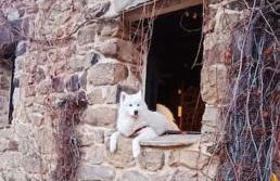 Casa con encanto LagunaNegra y Urbion - Foto 23