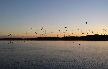 Casas Rurales el Balcon de la Brena - Foto 13